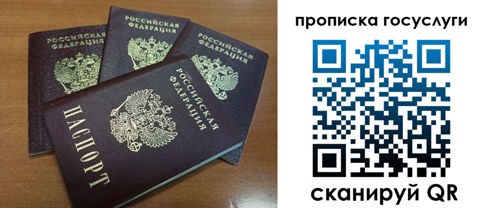 прописка 2025 в Чайковском